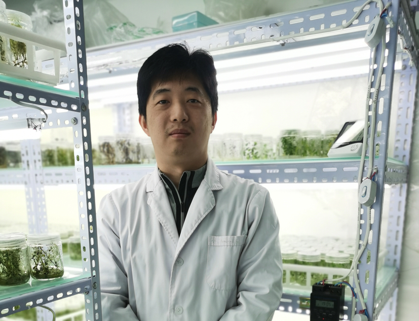 1張金喆 副本.jpg