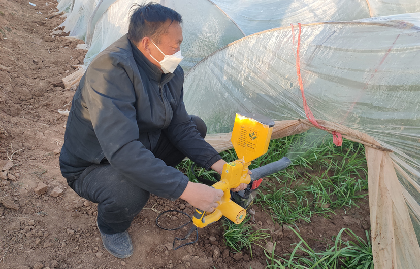 3彌粉法施藥技術(shù)在小拱棚韭菜棚內(nèi)應(yīng)用.jpg