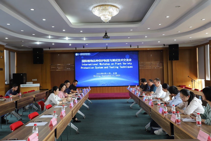 圖4 交流會(huì)現(xiàn)場(chǎng).JPG