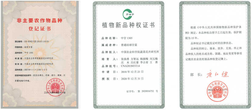 品種登記和新品種權(quán).jpg