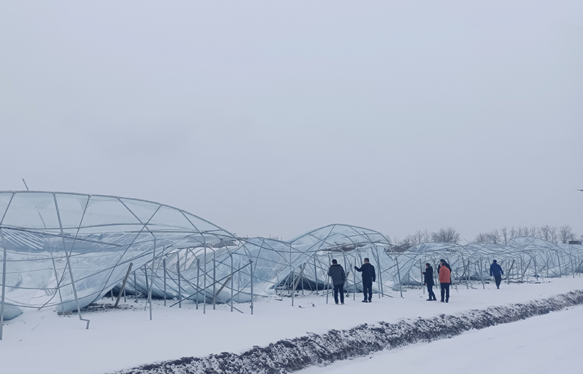 4 王艷研究員率小分隊(duì)在安徽調(diào)研災(zāi)害情況.jpg