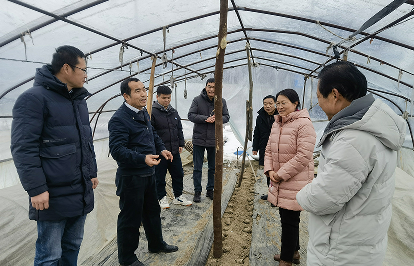 3 邱正明研究員率領(lǐng)小分隊(duì)在湖北調(diào)研指導(dǎo).jpg