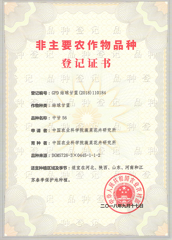 中甘56品種登記.jpeg