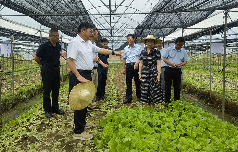 8 會領(lǐng)導(dǎo)與專家深入考察園藝生產(chǎn)企業(yè).jpg