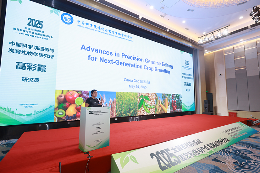 6-高彩霞研究員主旨報(bào)告.jpg