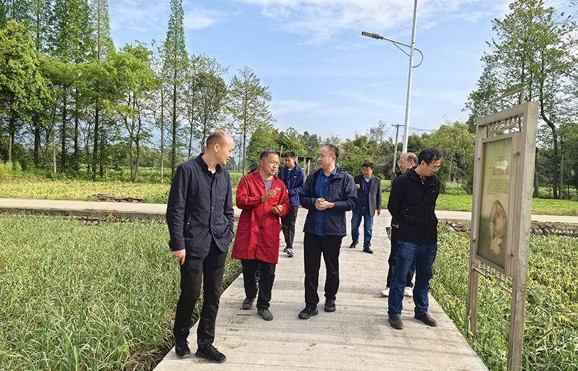 圖3.jpg